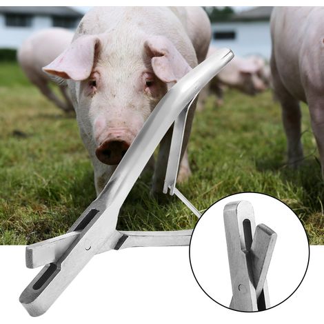 Pince à étiquettes auriculaires pour porcs en acier inoxydable (forme en U) - Matériel porcin - Animaux de ferme (1/5)