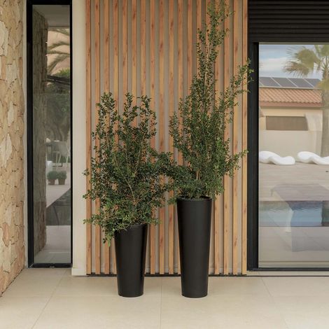 FICUS 80 Macetero Redondo y Alto de Interior y Exterior Para Plantas y Flores Muy Resistente al Paso del Tiempo. Hecho de Polietileno en España - Negro