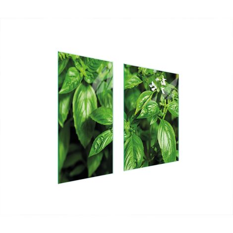 GLASSCHUTZPLATTE BOARD 75x52 BASIL (1/5)