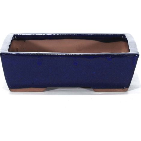 Vaso bonsai smaltato rettangolare cm. 20 Blu scuro (1/2)