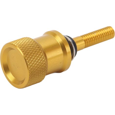 Boulon de selle arrière de moto en alliage d'aluminium haute résistance à dégagement rapide pour R Nine T Gold (1/5)