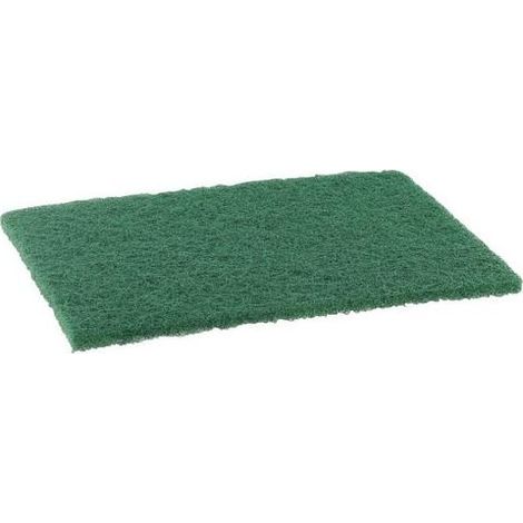 Tampon abrasif vert professionnel grand modèle x10