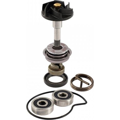 rms wasserpumpe für roller piaggio 300 vespa gtv 2019 bis 2020