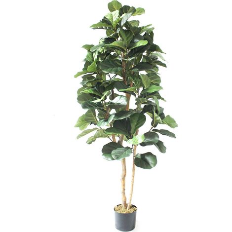 180cm Artificial Fiddle Fig Deluxe Tree (1/3)
