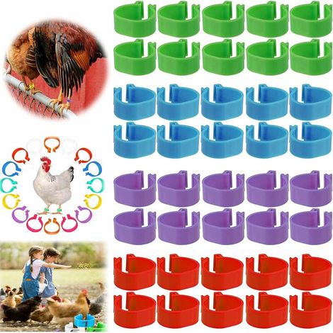 ,Anneaux De Jambe De Volaille 80 Pièces En Plastique Clips Bandes Pour Poulets Anneaux De Pied Pour Oiseaux Numéroté Anneaux à Clipser (1/5)