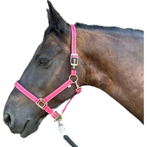 verstellbarer Nylon-Pferdehalfter mit Fleecefutter, Roségold, für Shetlandponys (1/5)