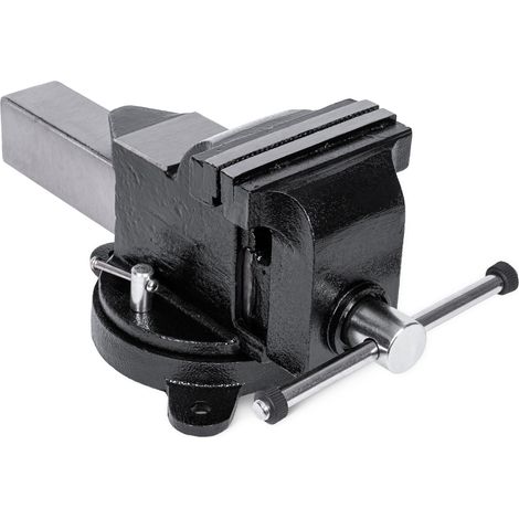 STIER Parallelschraubstock, Spannweite 150 mm, Größe 125 mm, Schraubstock mit breiter Ambossfläche, hohe Spannkraft, inkl. Befestigungsmaterial & Rohrspannbacken (1/5)