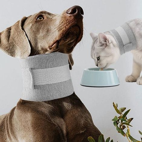 Collar protector y cono para perros, collar de recuperación ajustable para cachorros y gatos después de una cirugía o lesión, M (1/4)