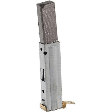 Lot de 2 balais de charbon universels pour moteur d'aspirateur Baiyun, accessoires pour aspirateurs industriels BF (1/4)