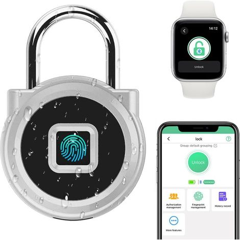 1 Cadenas Biométrique, Empreinte Digitale, Application Mobile, Code Numérique, Extérieur, Argenté (1/5)