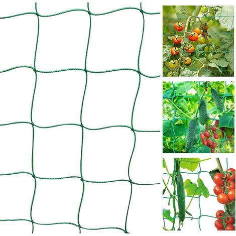 Plante de jardin Escalade Filet Nylon Plastique Filet Morning Glory Flower Vine Grow Filet Support Treillis (1,8 m x 1,8 m) (1/5)