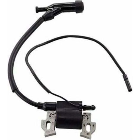 Kit bobine et bougie d'allumage - Nosheir - Compatible Berlan BSTE3000 - Compatible Scheppach SG3000 (1/4)
