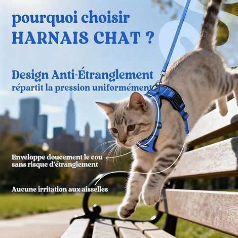 rabbitgoo Cat Harness Small Dog Leash Harness Adjustable Blue XS Collar Harnai Cat Reflective Breathable Vest for Rabbit, European Cat, Maine Coon, Persian, Tie with Lead (1/4)