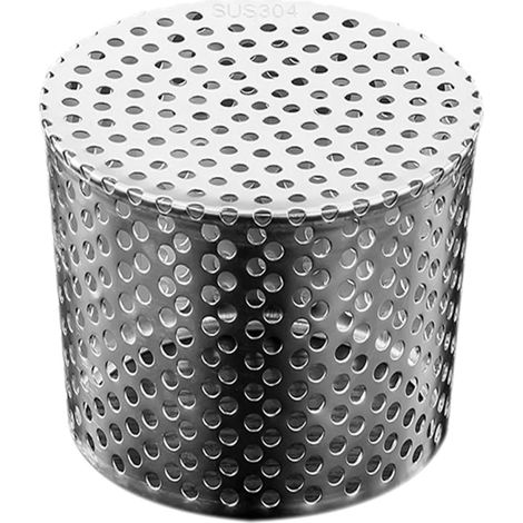 Grille d évacuation et filtre de gouttière en acier (1/4)