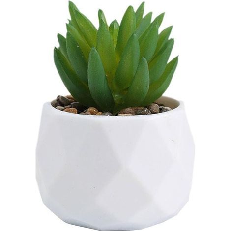 Plante Succulente Artificielle - Pot En Silicone - Hauteur 7 À 14 Cm - Décoration Intérieure Bureau Étagère - 1 Pièce (1/5)