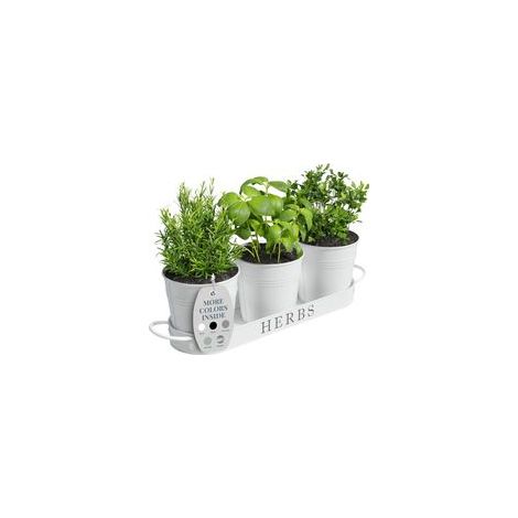 Jardin d'herbes aromatiques d'intérieur pour intérieur/extérieur, Pots de Fleurs de Ferme, kit de Jardin d'herbes aromatiques avec Plateau, Pots de fenêtre pour Plantes d'intérieur (Blanc) (1/5)