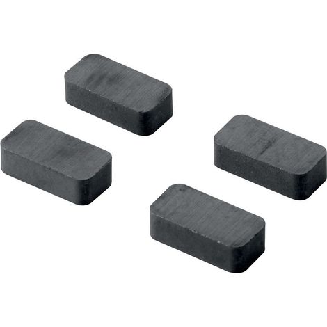 Lot De 4 Aimants Magnétiques Hettich, L.20 X L.10 Mm