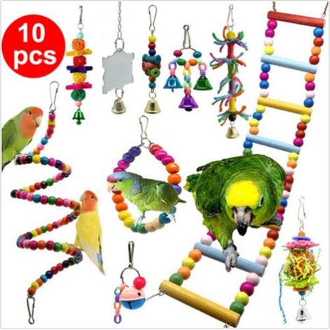 10 jouets pour oiseaux, cage à perroquet, accessoires pour perroquet, B (1/4)