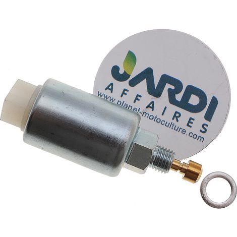 Solénoïde de carburateur compatible avec Briggs Stratton remplace 596038 (1/3)