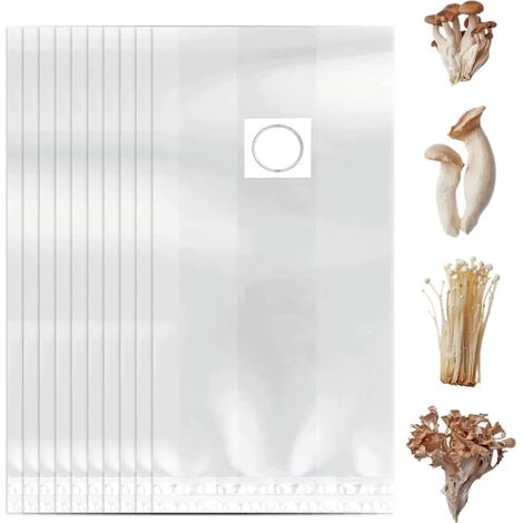 Filiyano-10 sacs de culture de champignons - Sacs résistants avec filtres - Solides et durables - Conviennent aux champignons et aux céréales (32 x 50 (1/5)