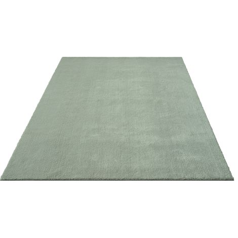FLOORNOVO Hochflor Teppich Grün einfarbig - 340 x 240 cm - Besonders Weicher Teppich Wohnzimmer & Badezimmerteppich - Pflegeleicht - vielseitig einsetzbar im Innenbereich (1/2)