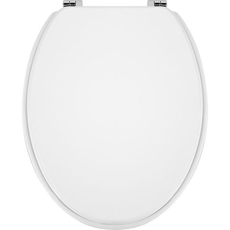 Copriwater Fantasia Ceramica Pozzi Ginori (1/5)