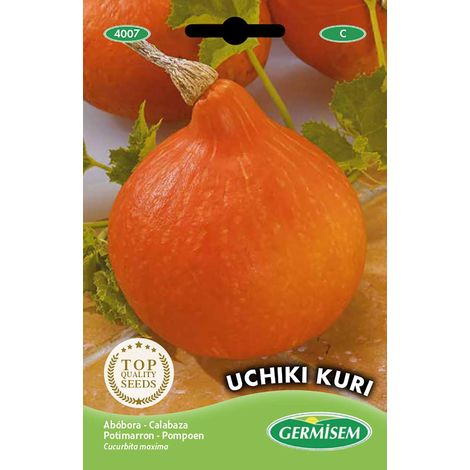 graines Potimarron Uchiki Kuri EC4007 Multicolore