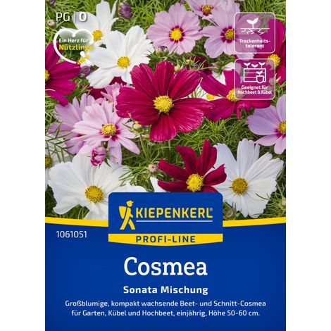 Kiepenkerl Profi-Line Saatgut Cosmea Sonata Mischung für ca. 40 Pflanzen (1/2)