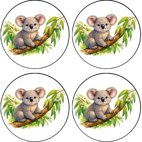 Set de 4 dessous-de-verre koala eucalyptus (1/2)