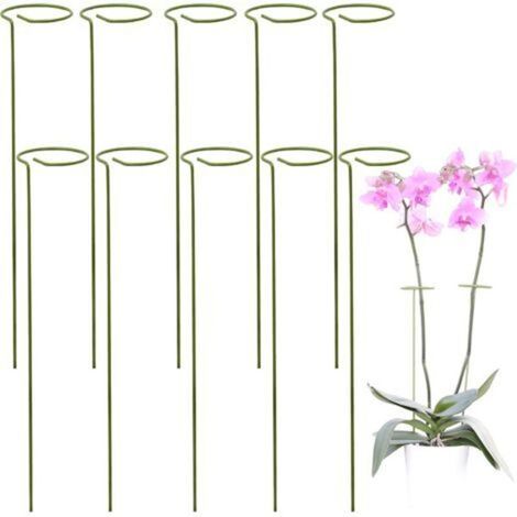 Kit 10 Tuteur Plante, Supports pour Plantes Grimpantes et Fleurs, Tuteur Vert, Aidez Vos Fleurs à Pousser, Tuteurs Tomates Jardin , Pieux à Orchidées, Amaryllis, Pivoines, Poivrons et Plus