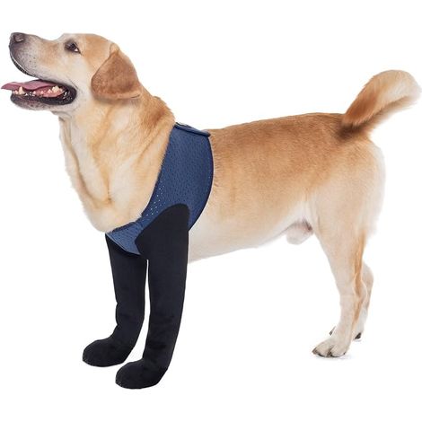 Dog Socks, Paw Licking, Dog Socks with Non-Slip Soles to Protect Injuries, Waterproof Shoes against Licking (Blue, XL) (1/5)