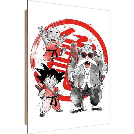 Tableau bois Dragon Ball Kame school - 50 x 70 cm (1/5)