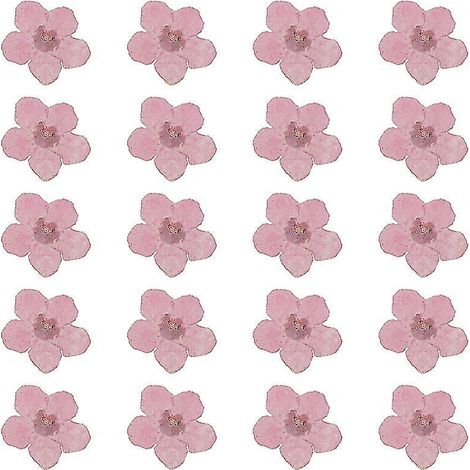 20 Stück Blumenpräparate (1/3)