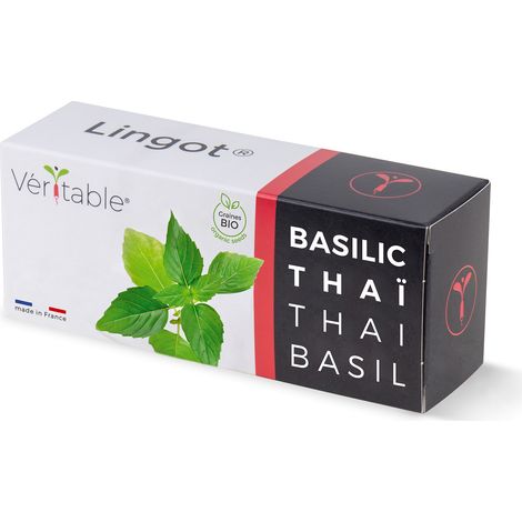 Graines Véritable basilic thaï biologique germination garantie 5.6x4x13.2 cm (1/5)