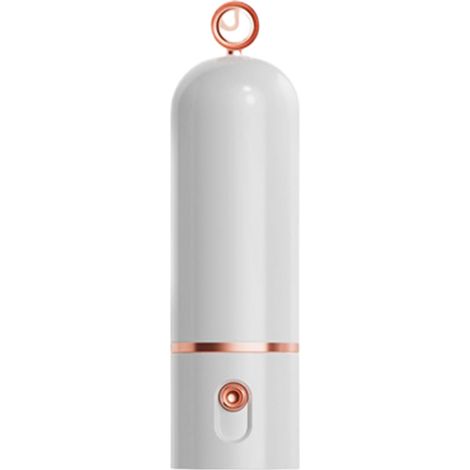 Ventilateur Souffleur sans fil à batterie (1/5)