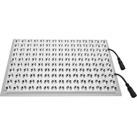 Lampe de croissance horticole 300 W, 150 LED, spectre complet, avec minuterie et variation d'intensité, pour serres, prise UE 100-240 V