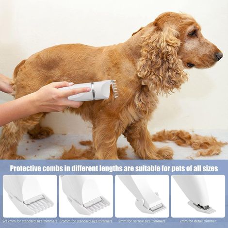 Tondeuse Chien Silencieuse, Silencieuse Tondeuses pour Chiens Chat Étanchéité IPX7, Tondeuse à Poils D'animaux, Tondeuse Professionnelle Electrique Rechargeable Sans fil pour Chien, Chat, Lapin (1/5)