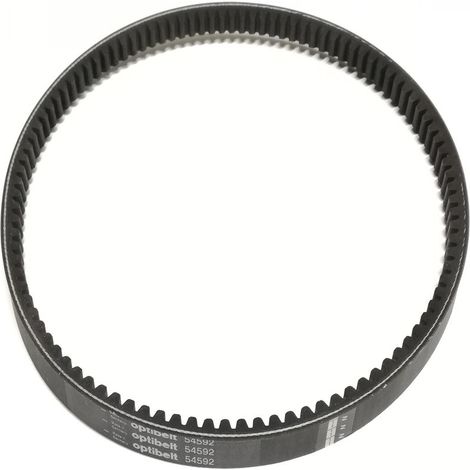 Cinghia trasmissione Grillo Climber Serie 9 - 54592