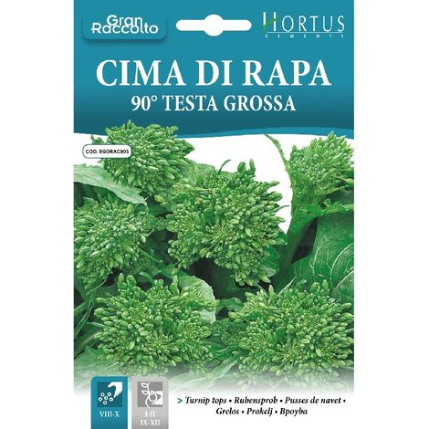 Cima di rapa 90 testa grossa - große, saftige Köpfe für vielseitige Rezepte