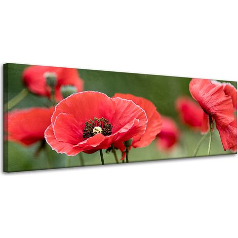 Leinwanddruck Botanik Rote Mohnblumen 120x40 cm Blumen Flora