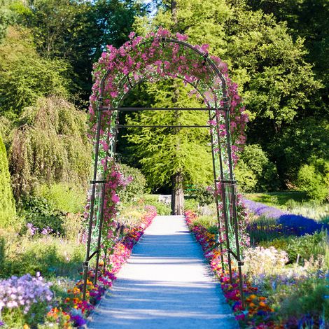 Arche de Jardin 2,3m en Métal Revêtu PE, Treillis pour Plantes Grimpantes, Structure Antirouille Résistante aux Intempéries (1/5)