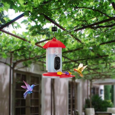 Hummingbird Feeder with Camera, Free AI Forever Birds Identification Live View 1080P HD 2 in 1 Camera Bird Feeder, Smart Bird Feeder for Family and Friends Ideal Gift for Bird Lover (1/5)