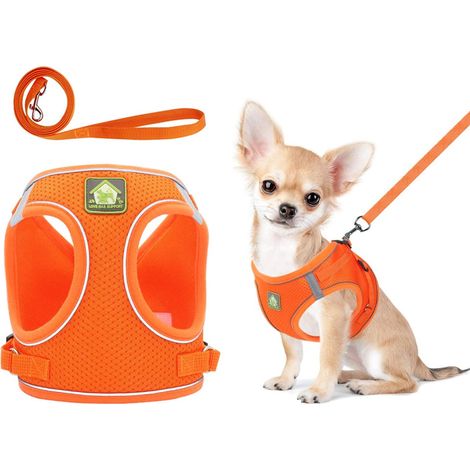 1 Ensemble harnais et laisse, maille respirante, bandes réfléchissantes, sangles réglables, pour chien et chat, promenade extérieure (1/5)