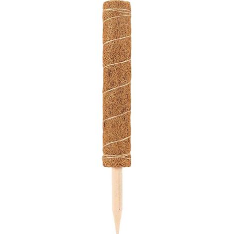 Tuteur en fibre de coco pour plantes - Poteau en mousse de coco robuste avec pointe inférieure (1/5)