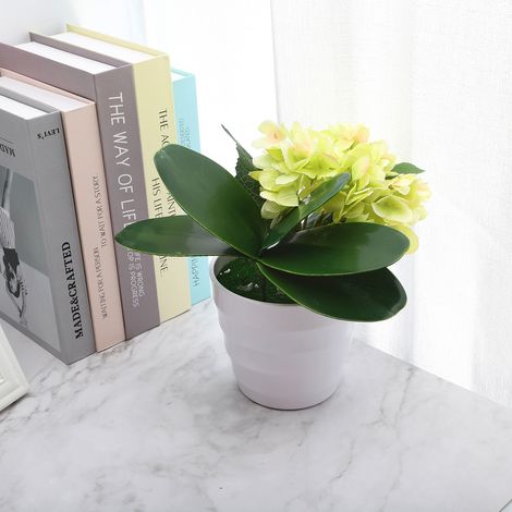 Orchidée Phalaenopsis en EVA de taille moyenne avec 5 feuilles, idéale pour la décoration de mariage et d'intérieur, plante artificielle/EVA/, hauteur 20,5 cm lorsqu'elle est fermée. (1/5)
