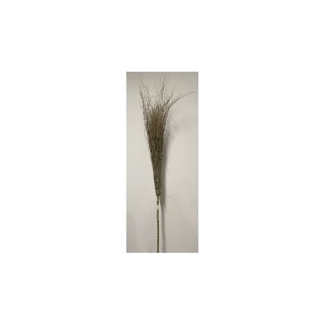 C SCOPA IN BAMBOO 210 CM 18 RAMI IMPORT