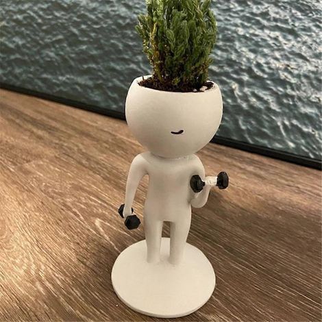 Plantes succulentes sportives en pot, pots, jardinière pour plantes succulentes de yoga, C-- (1/5)