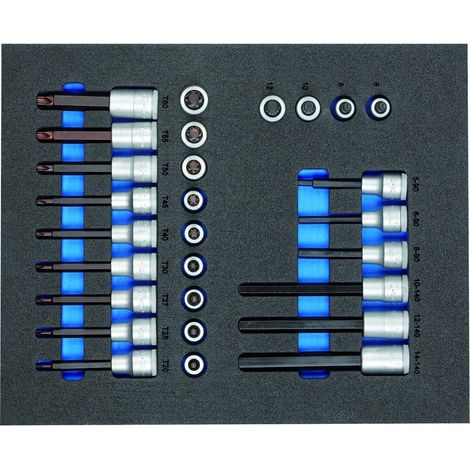GEDORE 2957450 - Jeu d'inserts de tournevis 1/2" dans le module 2/4 CT , TS CT2-ITX19 (1/5)