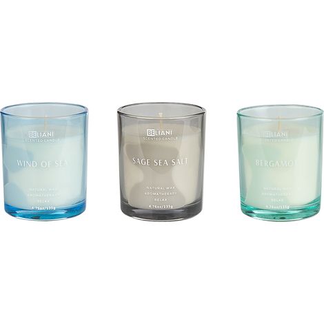 Conjunto de 3 velas perfumadas 100% cera de soja mecha de algodón vidrio fragancia fresca bergamota/viento de mar/salvia sal marina Sheer Joy