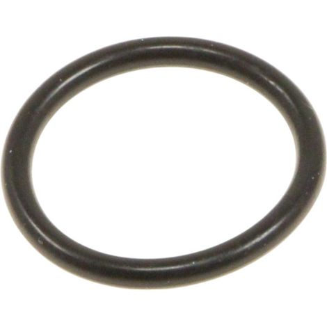 BAQUE D'ÉTANCHÉITÉ POUR NETTOYEUR HAUTE-PRESSION KARCHER - 63621610 (1/2)